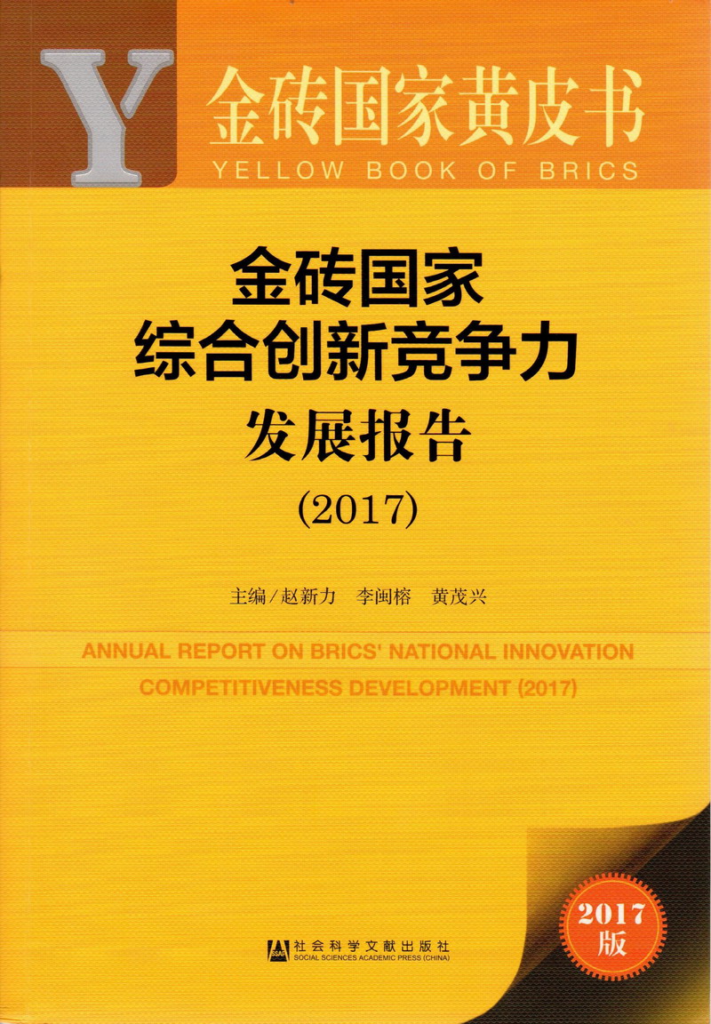 4438小粉逼逼金砖国家综合创新竞争力发展报告（2017）